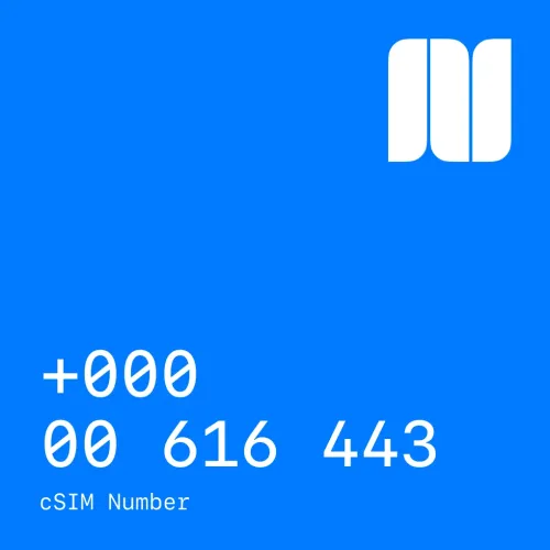 +000 00 616 443