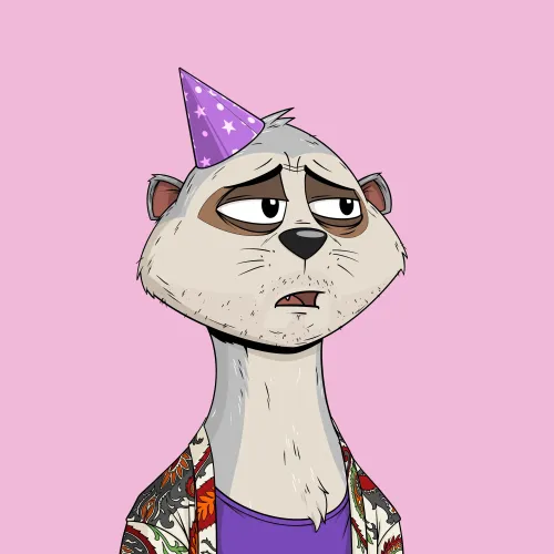 Worried Meerkat #790