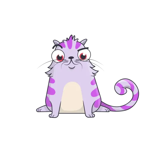 Rare LuckyStripe Himalayan ＃137997