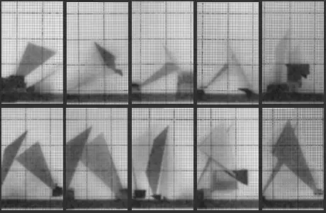 Chronophotograph 93 #93