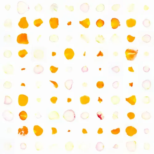 Infinite Petals 10x10#1277