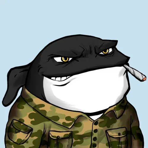 Whale 1046
