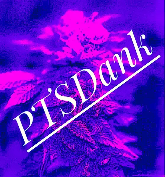 Healer of the mind, body, soul, and PTSD