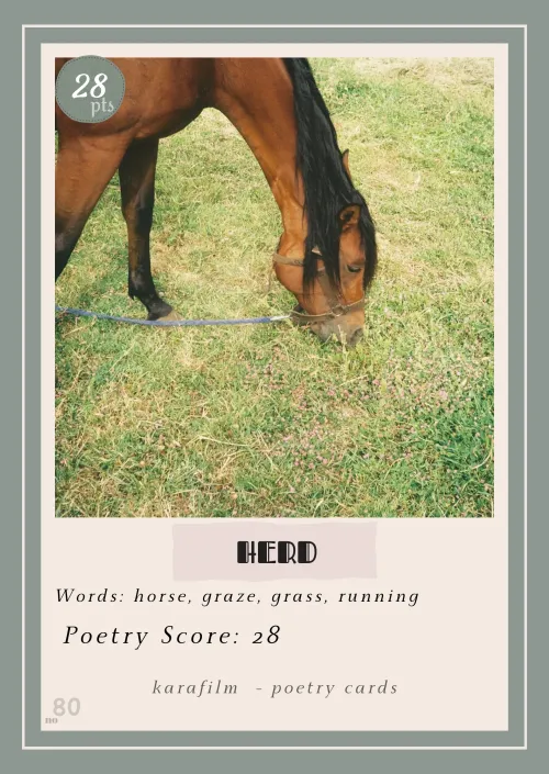 POETRY CARDS 80