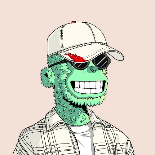 y00t #13213