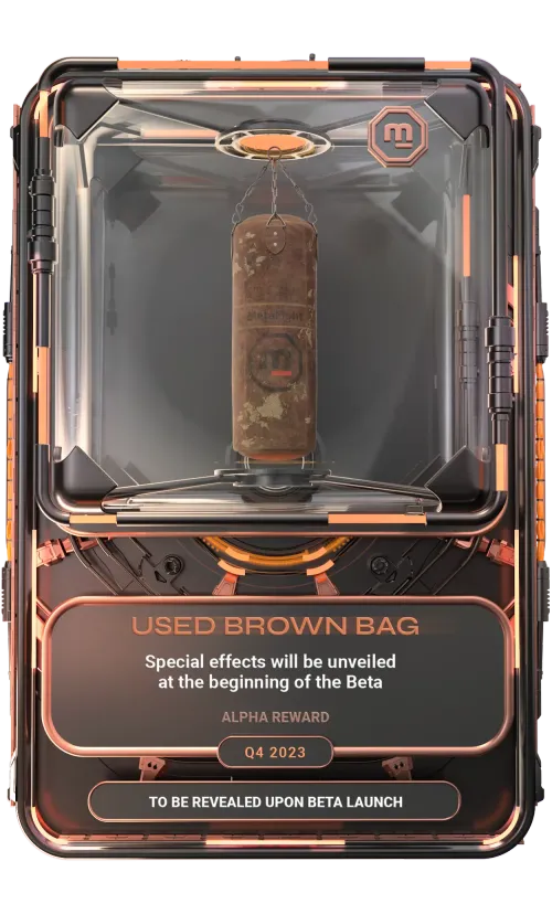 Equipment Card - Punching Bag Used brown bag - Q4 2023 - Bronze : 146/300 #187723