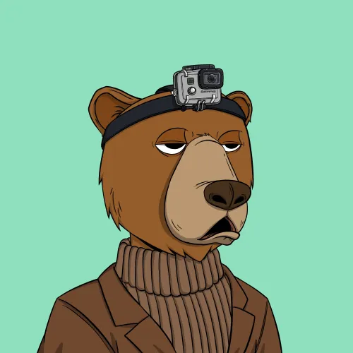 Okay Bear #5784