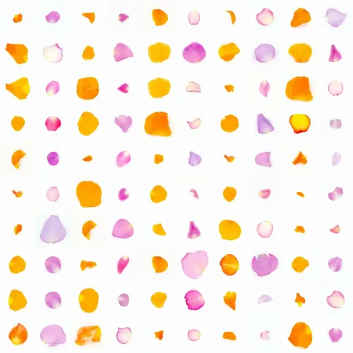 Infinite Petals 10x10#10209
