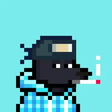 Bonk #217