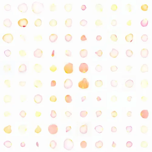 Infinite Petals 10x10#10040