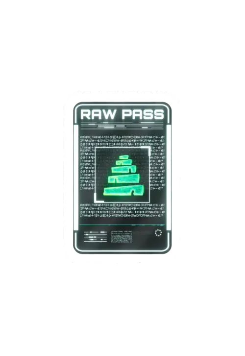raW Pass ＃3454