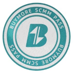 BUYMORE.FUN SCMM PASS # 105
