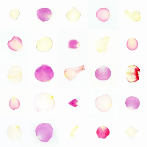 Infinite Petals 5x5#786