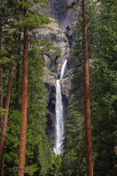 YosemiteFalls ＃80258