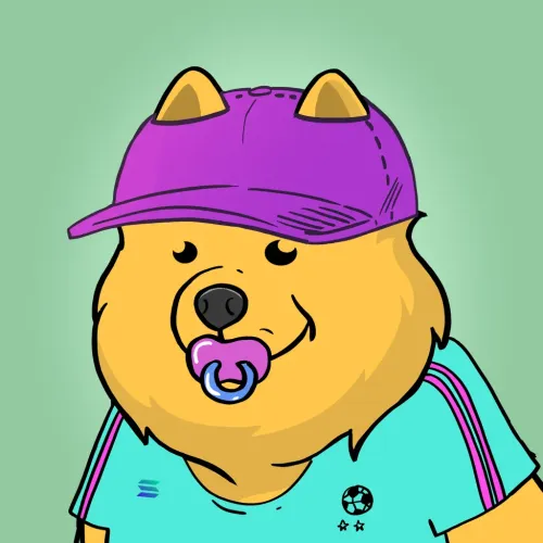 Samoyed #1981