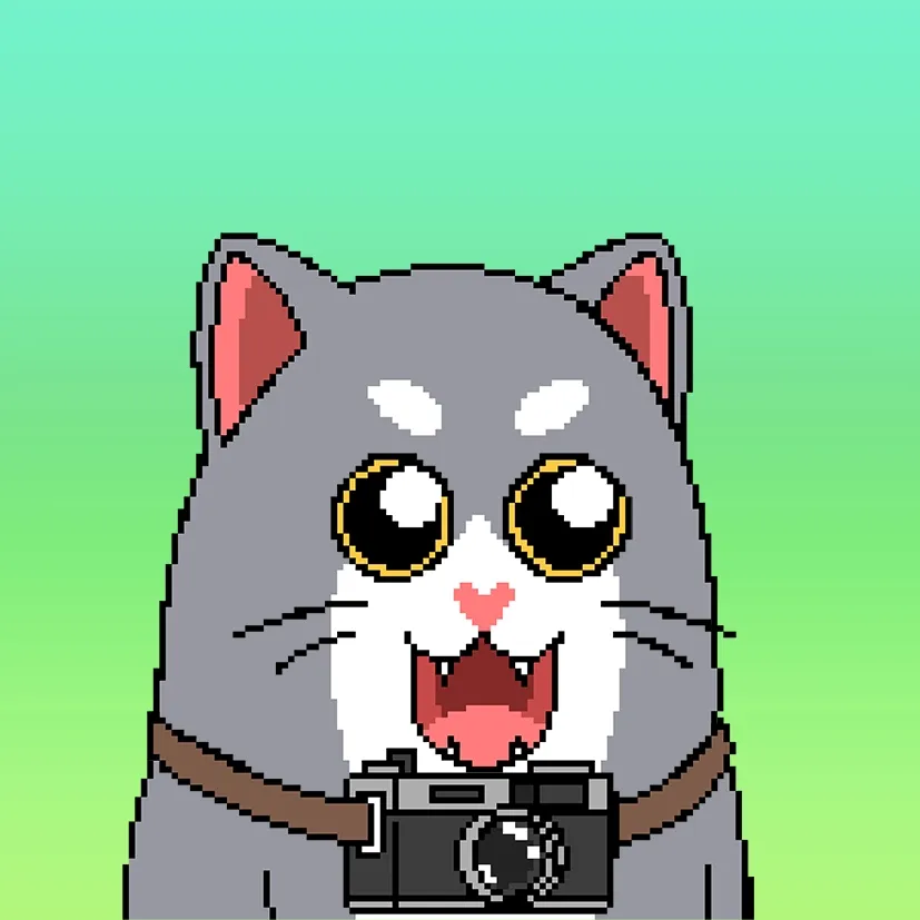 Liberty Cats