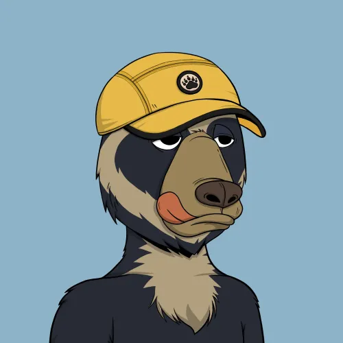 Okay Bear #6495