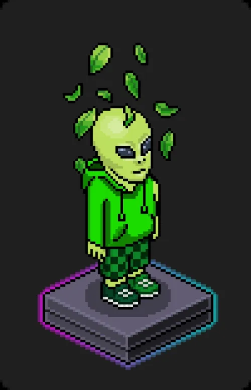 Habbo Crafted Avatar #1825