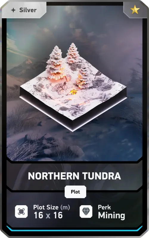 Silver Regional - Northern Tundra #35142