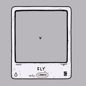 Fly