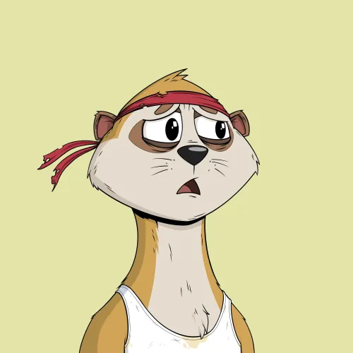 Worried Meerkat #257