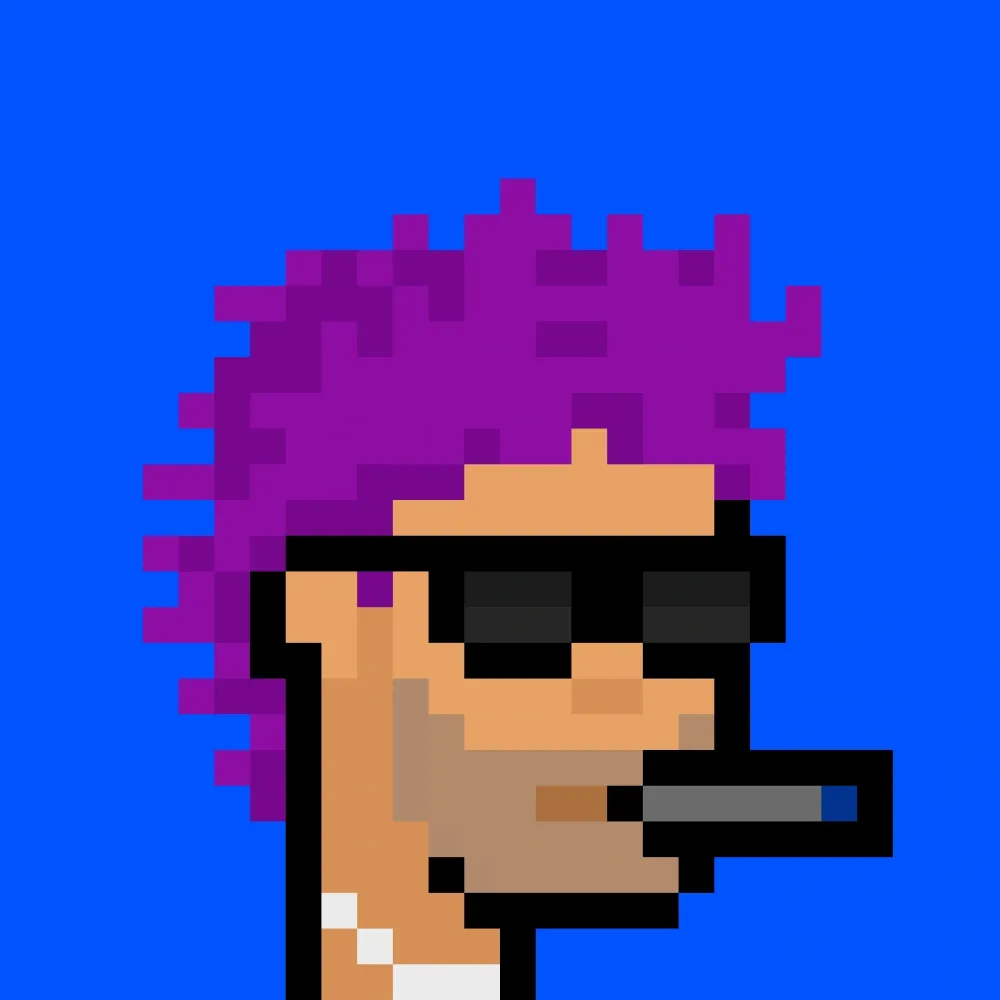 888xPunks #77