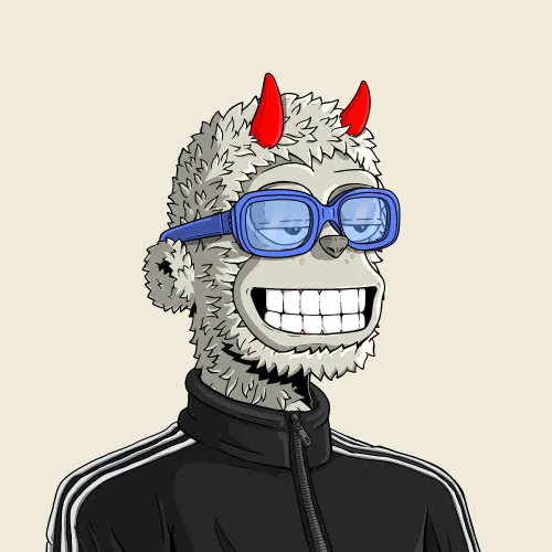 y00t #13269