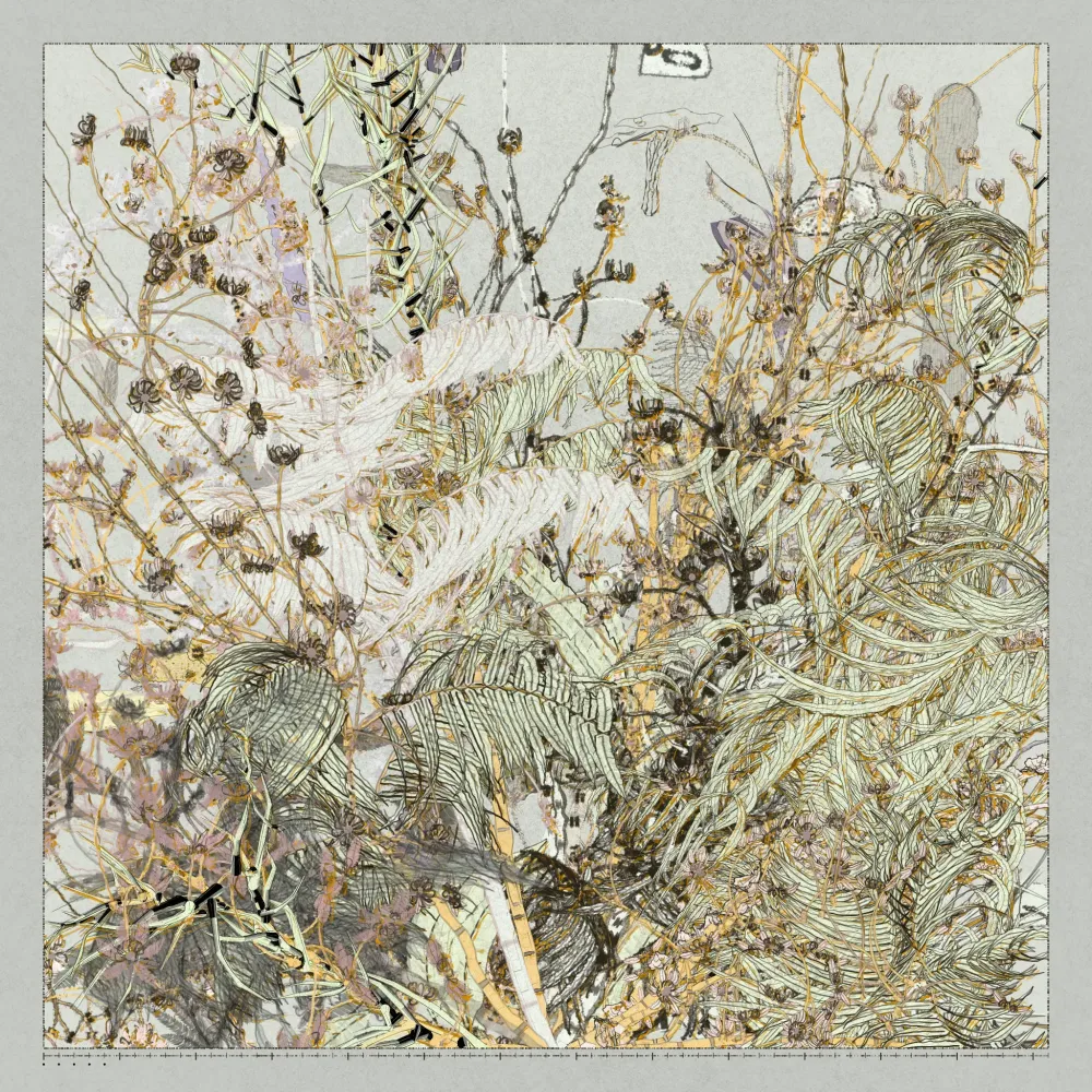 Polypaths | 植徑集 #235