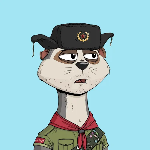 Worried Meerkat #198