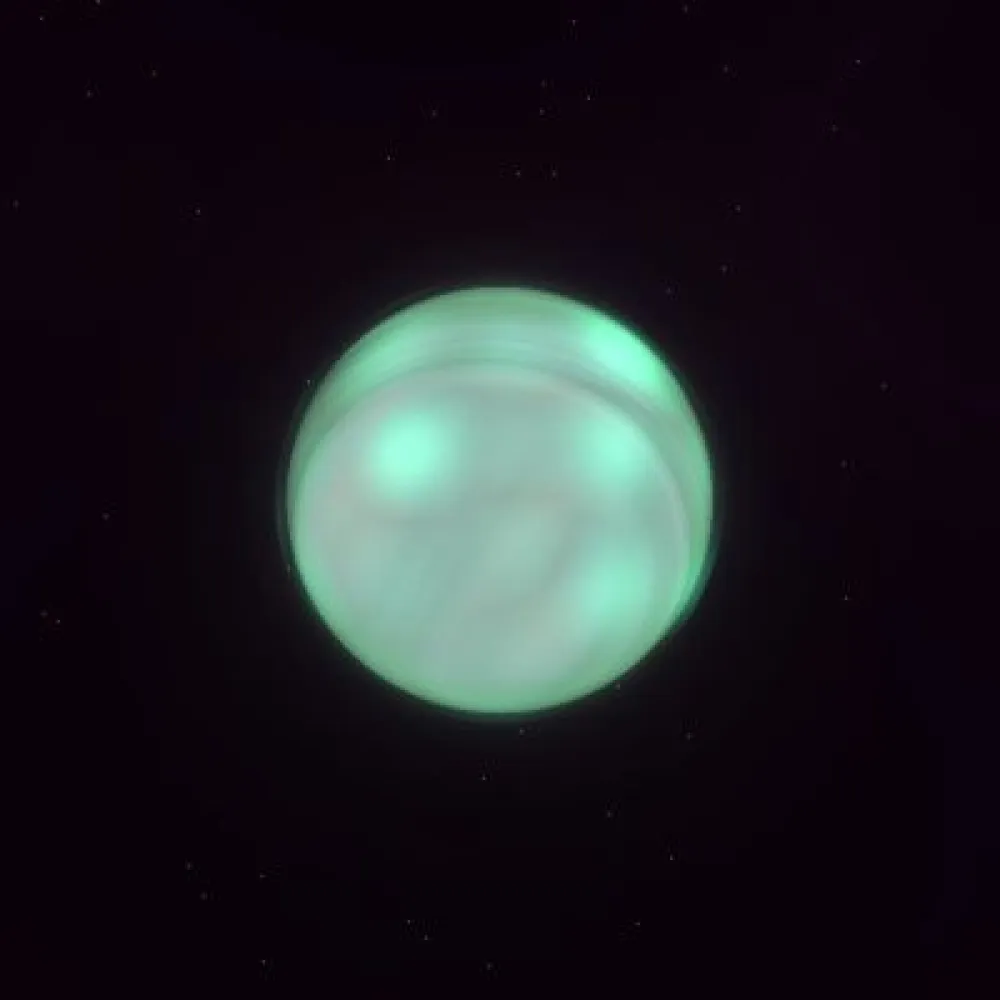 D09P0898 (#93901468)