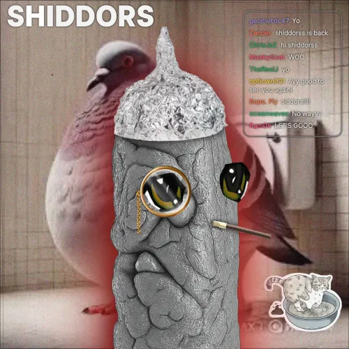 Shiddor #879