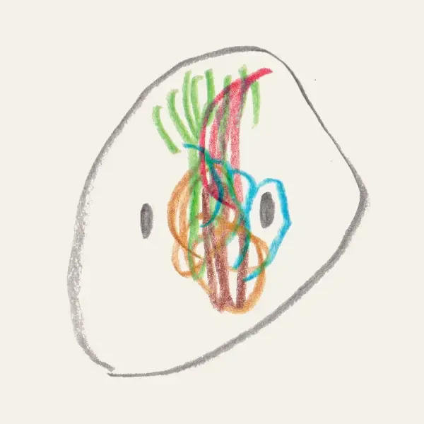 #61