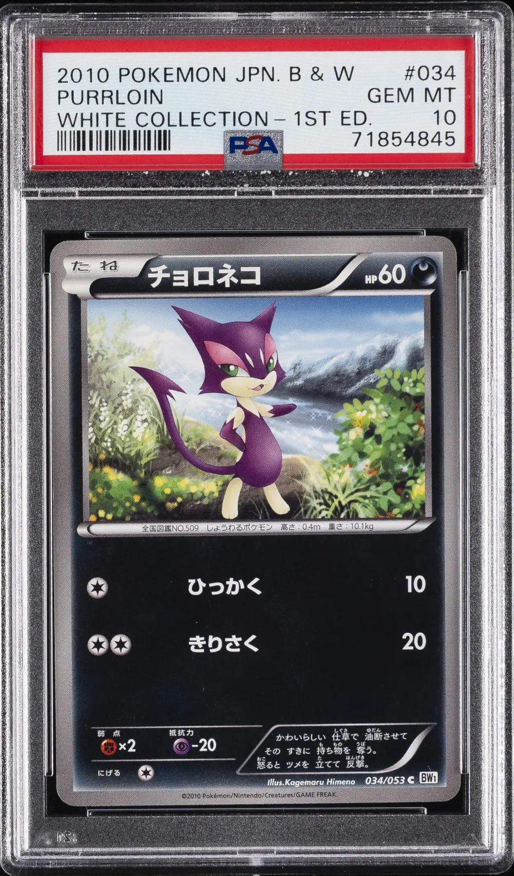 2010 #034 Purrloin PSA 10 Japane
