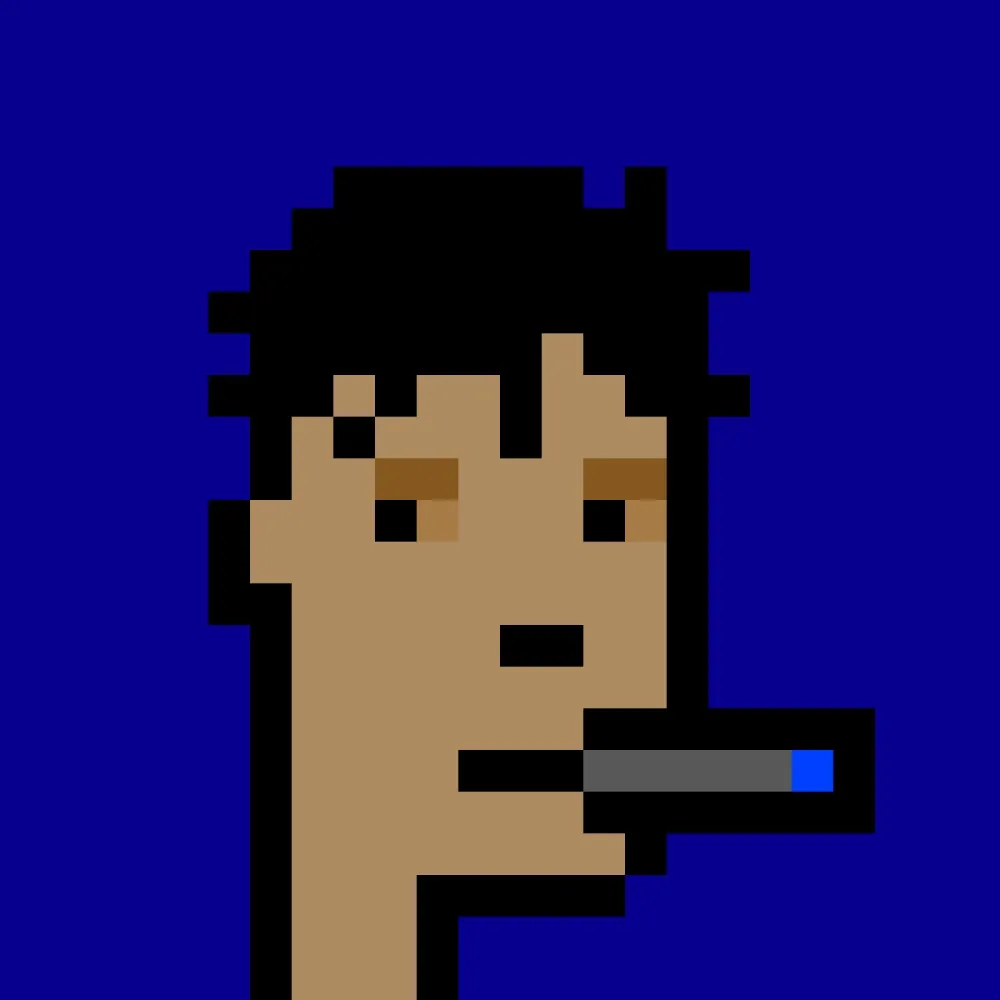 BRC 2.0 PUNK #6919 (#100776675)