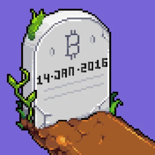 Bitcoin Burial ＃7977 （Inscription ＃9572541）