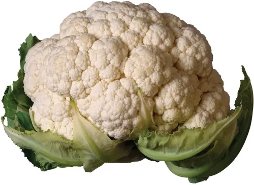 Cauliflower #42