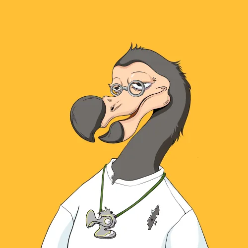 DoDo #2031