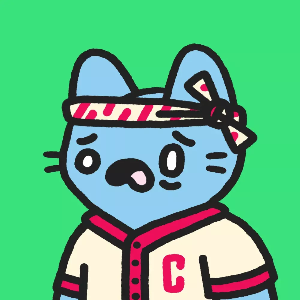 CoolCat #19