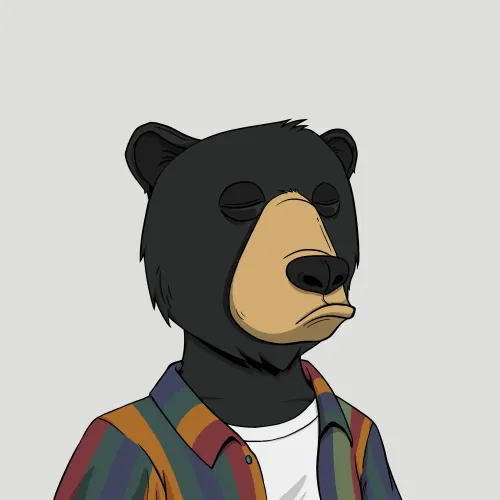 Okay Bear #571