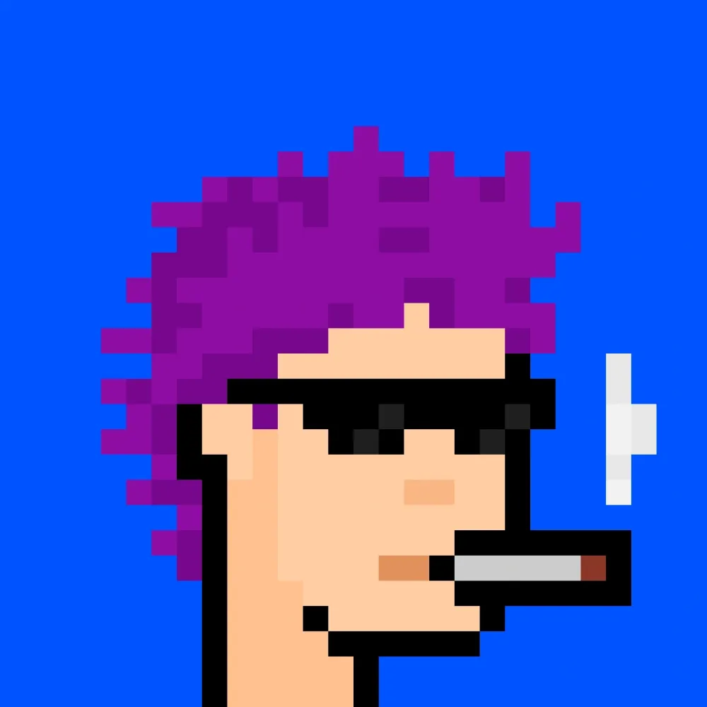 888xPunks #511