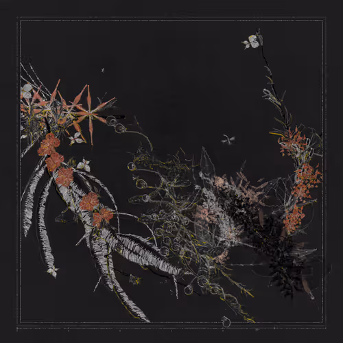 Polypaths | 植徑集 #43