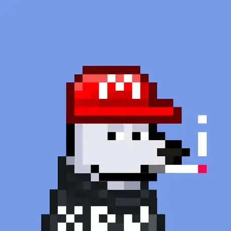 Bonk #377