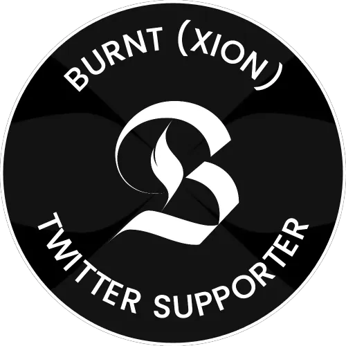 Burnt (XION) - Twitter Supporters #226476