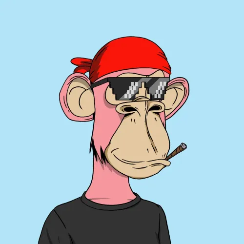 Optiape #1311