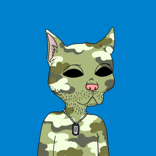 GutterCat #2874