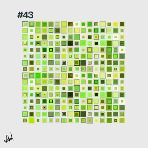 #43