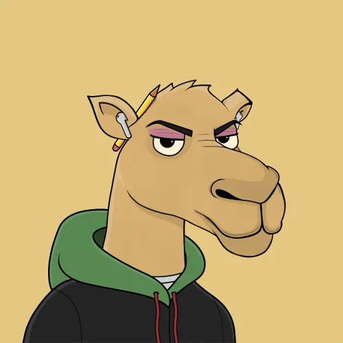 Camel #912
