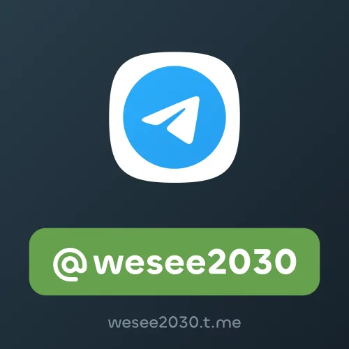 @wesee2030