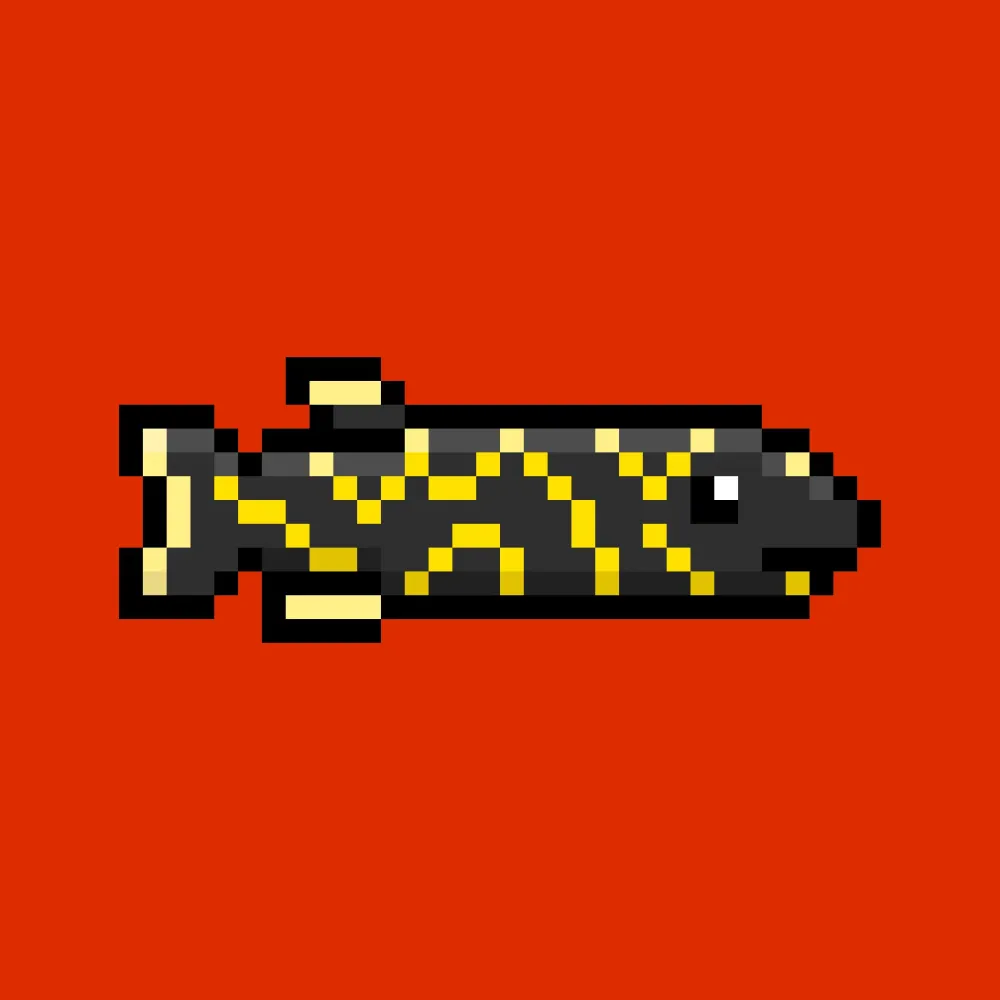 CryptoFish #1541