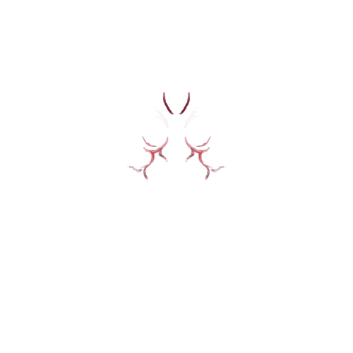 https://static.okx.com/cdn/nft/files/7340fb50-6a5b-4cc1-b203-7ae6c43d6d4a.webp/type=list